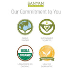 Banyan Botanicals Beauty Balm